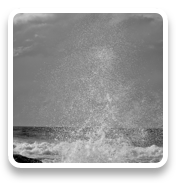 collage image title